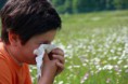 Allergies : consultation naturopathique